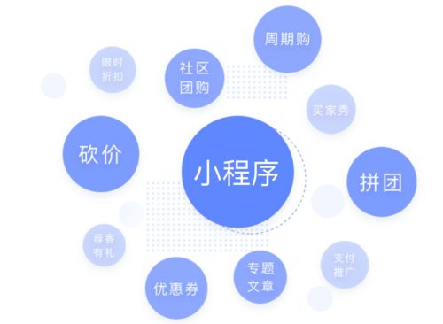 開發(fā)一個小程序,為什么有的300,有的30000