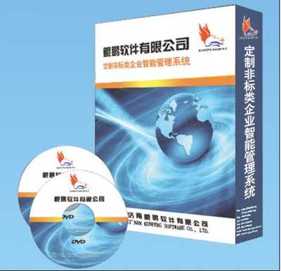 電腦軟件開發(fā)定制_生產(chǎn)管理軟件開發(fā)定制_開發(fā)濟南
