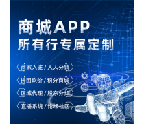 系統軟件開發